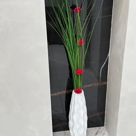 Relax Assoluto Apartment Cremona Exterior photo